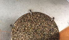 火麻豆浆,绿色健康饮品新潮流